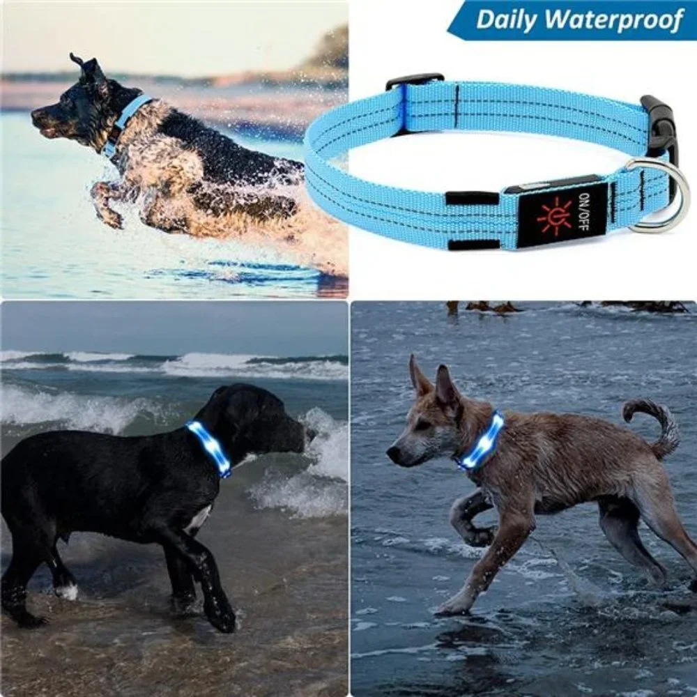 Led Dog Collar, Rechargeable Light Up Collar Waterproof, Blue